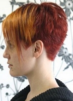 damskie fryzury krótkie włosy  zdjęcie z uczesaniem damskim z włosów krótkich  36